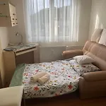 Encsi Salgótarján